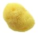 Hydrea London Fina Silk Sea Sponge for Baby or Cosmetic 2 to 2.5-inch