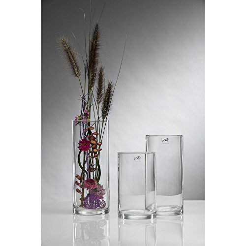 Glasvase Vase Glas Blumenvase Tischvase Zylinder 25 cm - 2