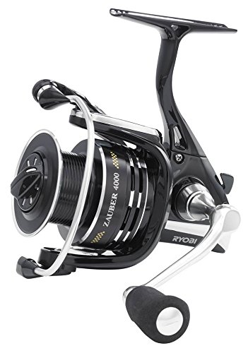 Preisvergleich Produktbild Ryobi Zauber L 4000