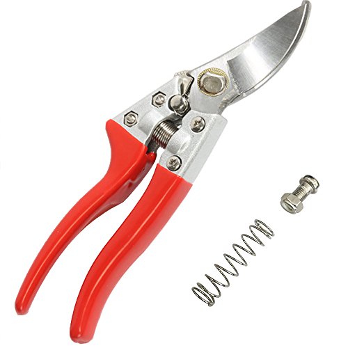 Happy FD Stahl Rasierer Gartenschere Garten Clippers Gartenscheren und Stahl Gartenschere Handarbeit - 6