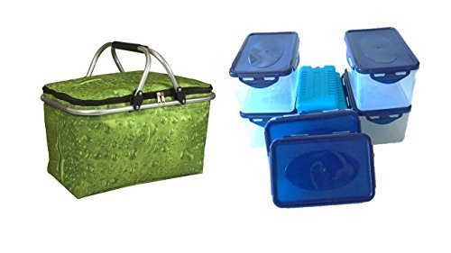 PM Euro-Trading 33118 monopol Kühlkorb mit Aluminiumrahmen + Neu bei Amazon für Ihre Kühltaschen das Boxen Set mit Eisaccus