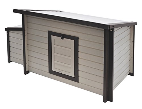 Poulailler élevage Cm