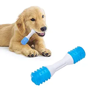 EETOYS Puppy Teething Toys Mint Flavored Dog Chew Toys for Gentle Chewers Promotes Dental Health Reduces Teething Discomfort Boredom Freshen Breath Dog Toy Made W/Non-Toxic PU (Large)