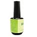 BF New No Burn Acrylic Primer Base 0.5 FL.oz Nail Art Tips Manicure Tool CODE: 60A