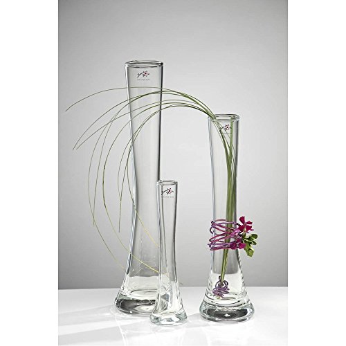 Glasvase, Blumenvase SOLIFLEUR H. 18cm D. 3cm + 5cm transparent Sandra Rich - 2
