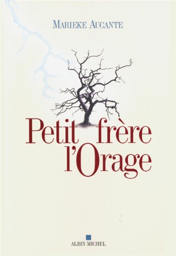 couverture de : Petit fr&egrave;re l'orage