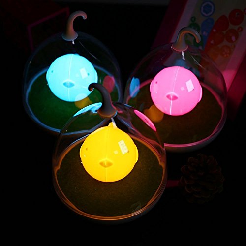 Signstek dimmbar Sensor Nachttischlampe Niedlich Vögelkäfig Nachtlicht USB aufladbar LED-Lampe mit USB-Ladekabel für Baby Kinder - 4