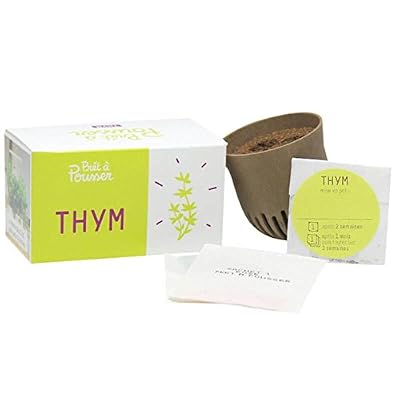 Generic Capsule de Thym D'Hiver pour Lilo Prêt à Pousser