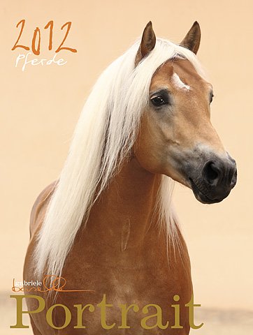 Portrait, Edition Boiselle 2012