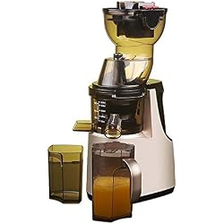 POST Le Juicer adopte la technologie mécanique lent Cold Press extrudeur, le Notch peut répondre aux fruits et légumes entiers, facile à nettoyer Grand Nickel