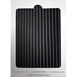 Electrolux Pure Advantage 2417540016 Air Système de filtration - Eafcbf filtre à air - pour AEG, Electrolux, John Lewis frigidaire réfrigérateurs congélateurs de réfrigérateurs