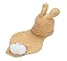 Bigood(TM) Newborn Girl Boy Crochet Clothes Baby Photograph Props Rabbit Shawl
