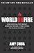 World On Fire: How Exporting Free Market Democracy Breeds Ethnic Hatred by 