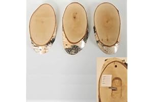 GTK - GEWEIHE & TROPHÄEN KRUMHOLZ 3 Stück Birke Schilder Trophäenschilder REH Rehbock Geweih Baumscheibe Baumschild Natur Holz modern mit Kieferfach