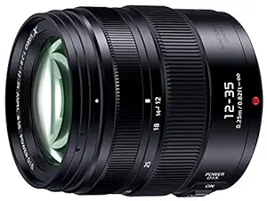 Panasonic Interchangeable Lens LUMIX G X Vario 12-35mm / F2.8 II ASPH. / Power O.I.S. [Micro Four Thirds Mount](Japan Import-No Warranty)