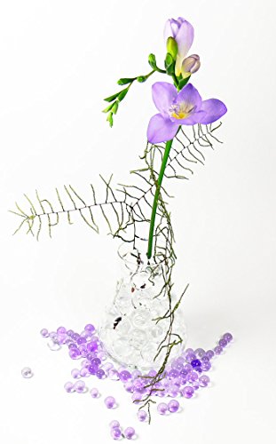 1 Liter Eimer aus Kunststoff mit Deckel Deko Hydro Wasser Perlen Kugeln künstliche Blumenerde Aquaperls Aqualinos zum Dekorieren Ø 1 - 2