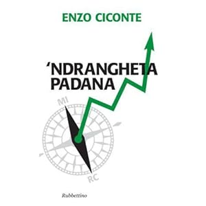 Ndrangheta padana (Problemi aperti)