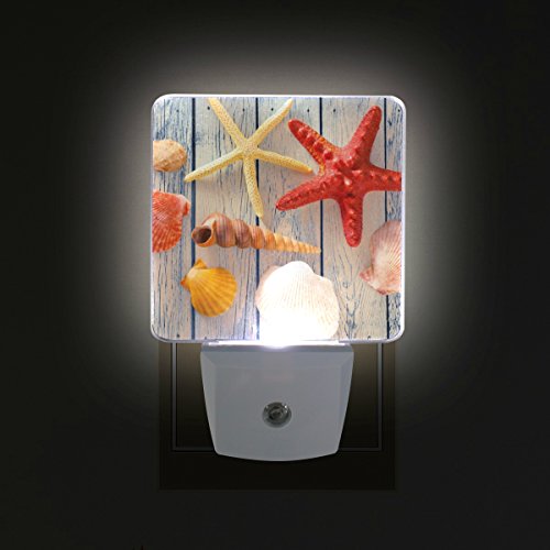COOSUN Collezione di Conchiglie di Mare in Plug LED Night Light Auto Smart Sensor Dusk to Dawn Notte Decorativo per Camera da Letto, Bagno, Cucina, disimpegno, Scale, Corridoio, Stanza del Bambino,
