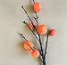 Produktbild Künstliche dekorative Blumen Simulation leaves lychee leaves garden decoration leaves fake leaves window display lychee branches leaves leaves props Blumenprodukten gehören:Kunstblumen & -pflanzen