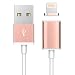 Produktbild Saflyse USAMS NEU 2in1 iphone USB Datenkabel Ladekabel für iPhone 6 / 6 Plus / 6s / 6s Plus / 5 / 5c / 5s iPad mini etc (Rose Gold)