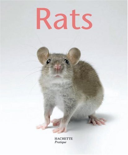 Download Rats Download Rats