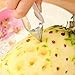 Price comparison product image zhengming2 Fruit Pineapple Peeler Corer Slicers Clip Cutter Easy Pineapple Knife Fruit Salad Tools