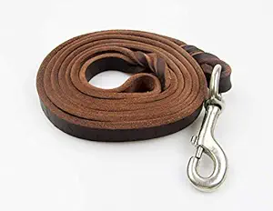 Le Agape Heavy Duty Leather Dog Leash 5.5 Foot - Strong & Soft Leather Leash for Small Dogs - Best Training Leash