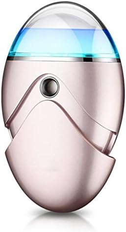 SCZLSYL Nano water meter facial cold spray machine steam face home humidifier office air purifier , rose gold