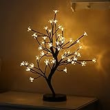 ÁRBOL AJUSTABLE: Satisfacer la necesidad de bricolaje con las ramas ajustables.