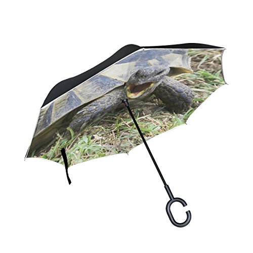 Preisvergleich Produktbild XiangHeFu Double Layer seitenverkehrt Rückseite Regenschirme Griechische Schildkröte Testudo Baumschlinge Ibera Faltbar Winddicht UV-Schutz Big Gerade für Auto mit C-Förmigem Henkel