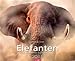 Elefanten 2011 by 