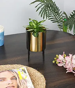 JULPIC Brass Cylindrical Set of 2 Desk Planters for Indoor Decoration | Size- Small | Metal Planters Flower Pots