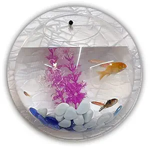 Wall Pot Mounted Hanging Aquarium Transparent Acrylic Fish Bowl 6 inch Non- Breakable Flower Pot Deep Blue Color (in Box no Stone & Flower) (White)