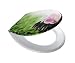 Produktbild Ridder WC-Sitz Spa mit Soft-Close multicolor