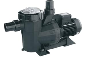 Astral - Pompe Filtration Astral Victoria Plus 1,5 Cv Mono 21,5 M3/h