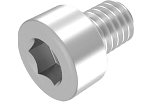 SECCARO vite a testa cilindrica M6 x 8 mm, acciaio inox V2A VA A2, DIN 912/ISO 4762, cava esagonale, completamente filettato, 20 pezzi