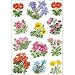 Produktbild Herma Sticker DECOR Gebirgsblumen