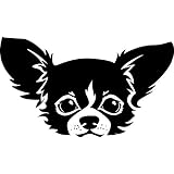Aufkleber, Autoaufkleber süsser Chihuahua Kopf 25cm x 14cm