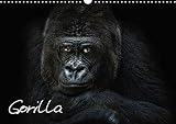 Gorilla (Wandkalender 2020 DIN A3 quer) by