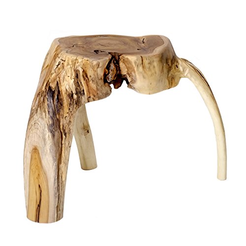 Unique Heavy Solid Teak Wood Coffee Table Wood Stool Root Table Flower Table + Brillibrum Flyer