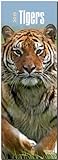 Tigers 2015 - Tiger: Original BrownTrout-Kalender - Slimline [Mehrsprachig] [Kalender] by 