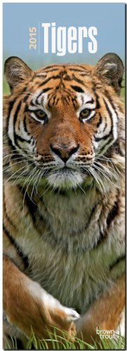 Tigers 2015 - Tiger: Original BrownTrout-Kalender - Slimline [Mehrsprachig] [Kalender]