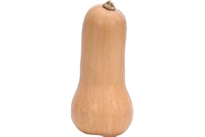 COXZD Kürbis Butternut 1 x 1 kg