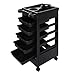 Price comparison product image Queiting Salon Hairdressing Hairdresser Beauty Storage Barber Trolley On Wheels 5 Drawer For Salon Beauty Massage Spa Black
