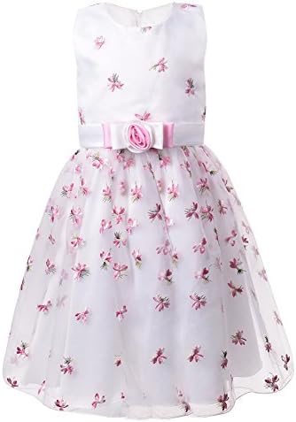 OKIDSO Embroidered Sleeveless Dress For Girls,Cute dresses for Party,Bridesmaid,Flower Girls,Prom,Age 3-8 years White (3-4 years old)