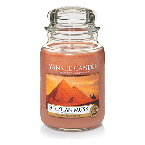 Preisvergleich Produktbild Yankee Candle Egyptian Musk - Big Jar