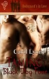 Cover zum Buch Taming Black Dog Four
