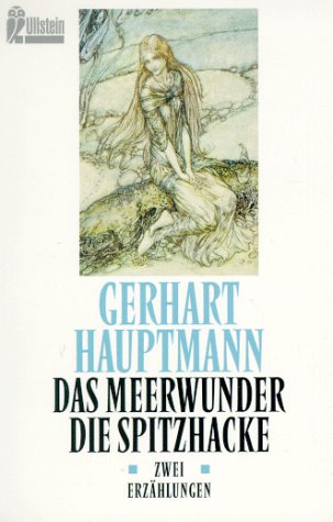 Preisvergleich Produktbild Das Meerwunder - Die Spitzhacke. Zwei Erzählungen
