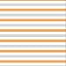 SwaddleMe Original Swaddle (Small, Lions and Stripes, Pack of 3)