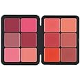 Daroge Invisible Cream Blusher palette - Check & Lip Blusher 24g -0.84oz